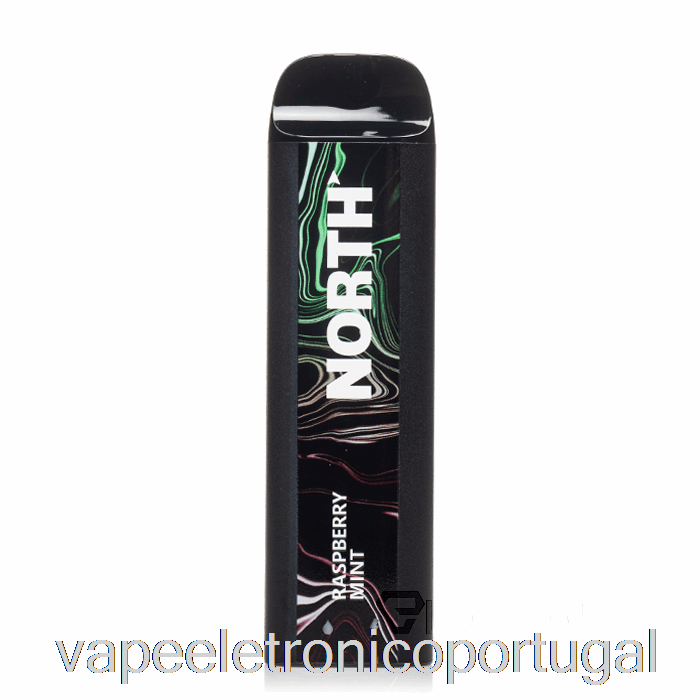 Vape Eletrônico North 5000 Descartável Framboesa Mint